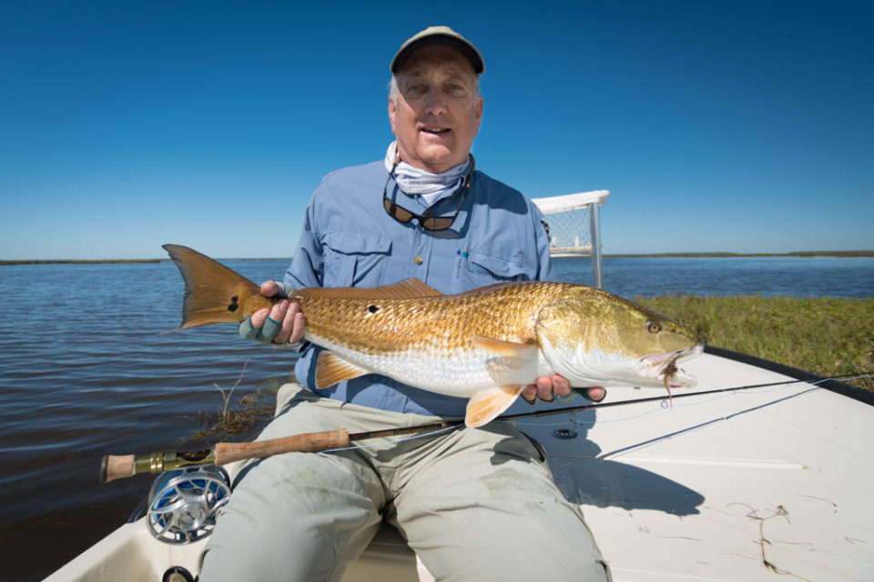 Galveston Bay Marsh Redfish