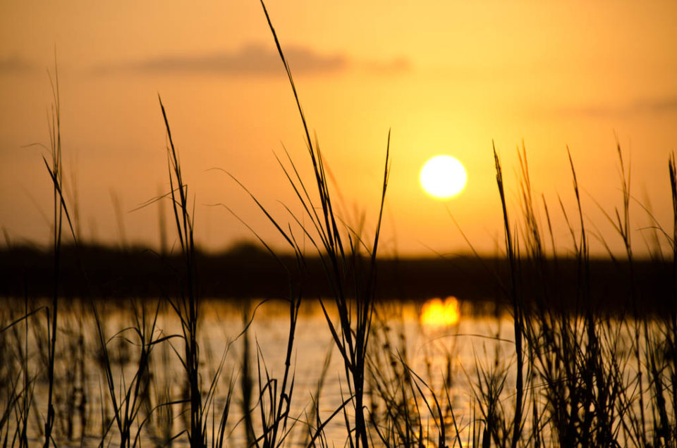 Galveston Marsh Sunrise