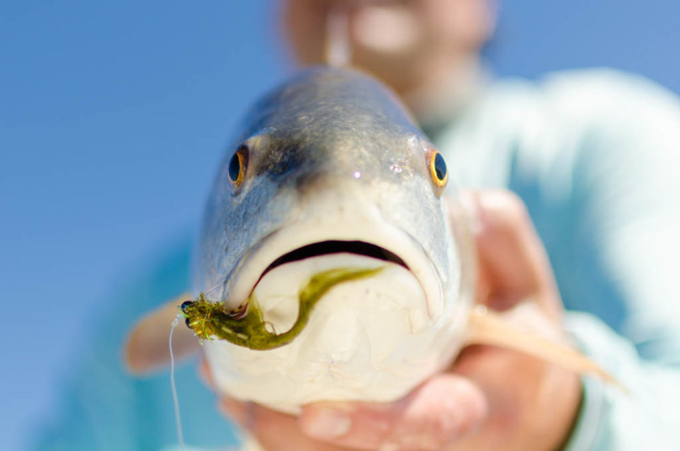 Galveston Redfish Fly