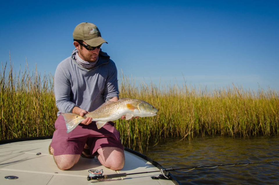 Galveston Marsh Redfish